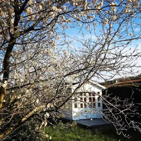 度假居 House With Sea View- 5 Minutes Walk From Beaches *